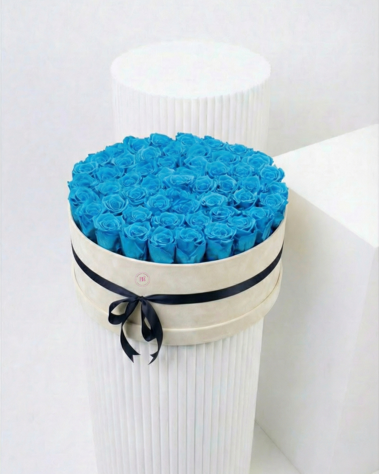 Moon Cloud - BB Flowers UAE