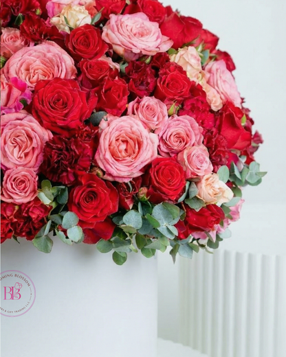 Luxury Rose Collection - BB Flowers UAE