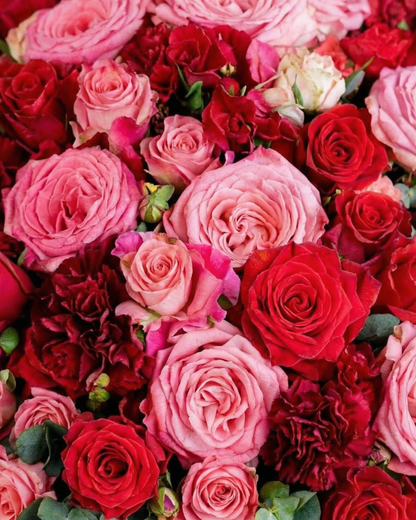 Luxury Rose Collection - BB Flowers UAE