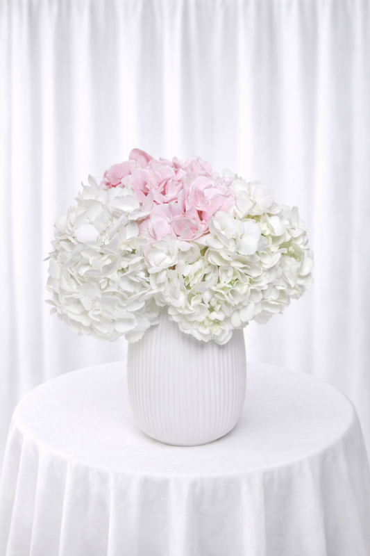 Blush Hydrangea Vase