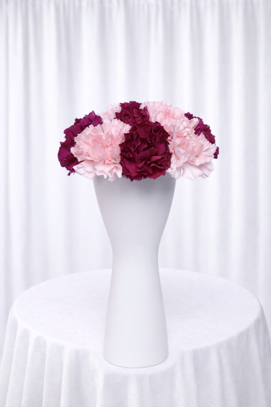 Blush Carnation Vase