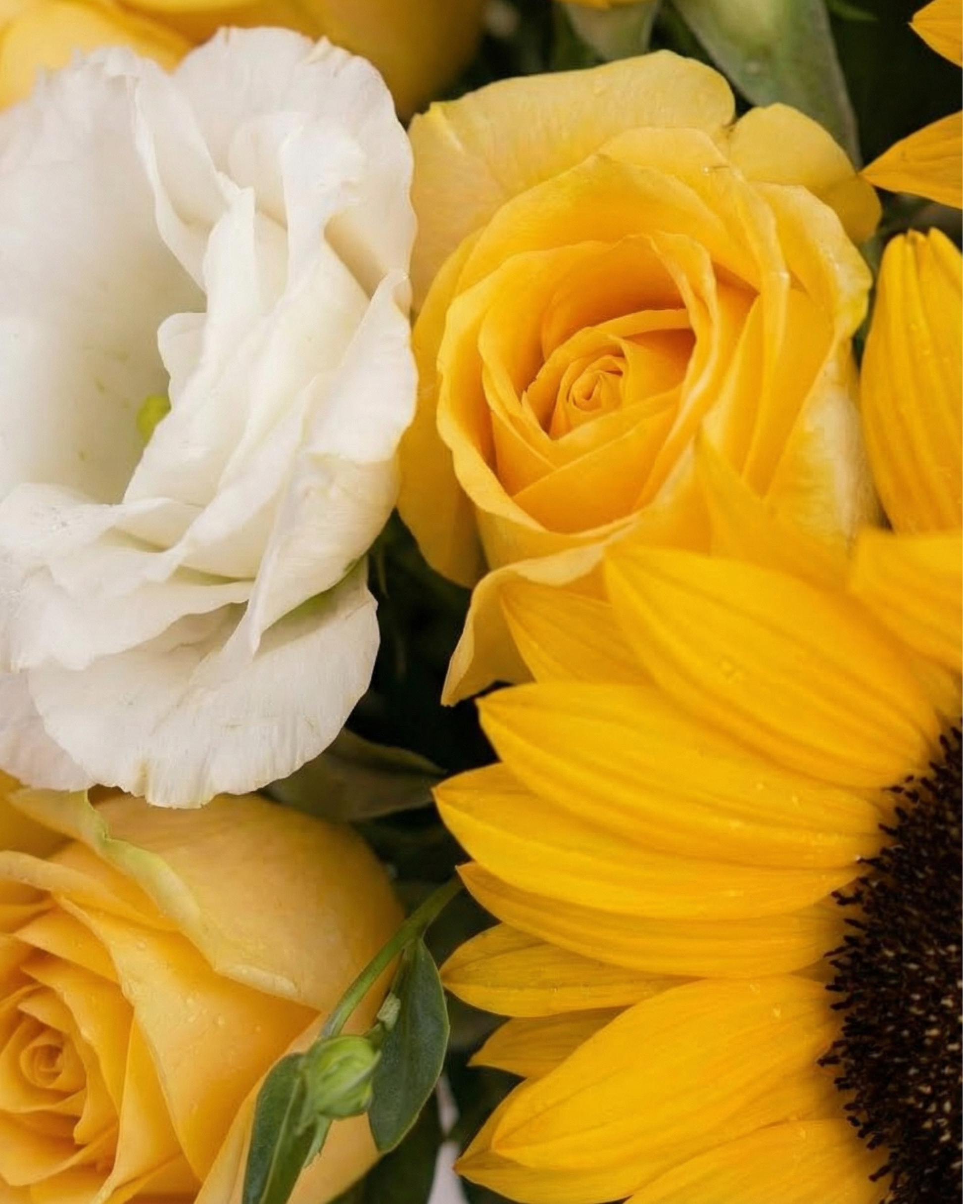Bright Mood - BB Flowers UAE