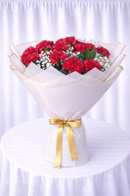 Crimson Carnation Grace