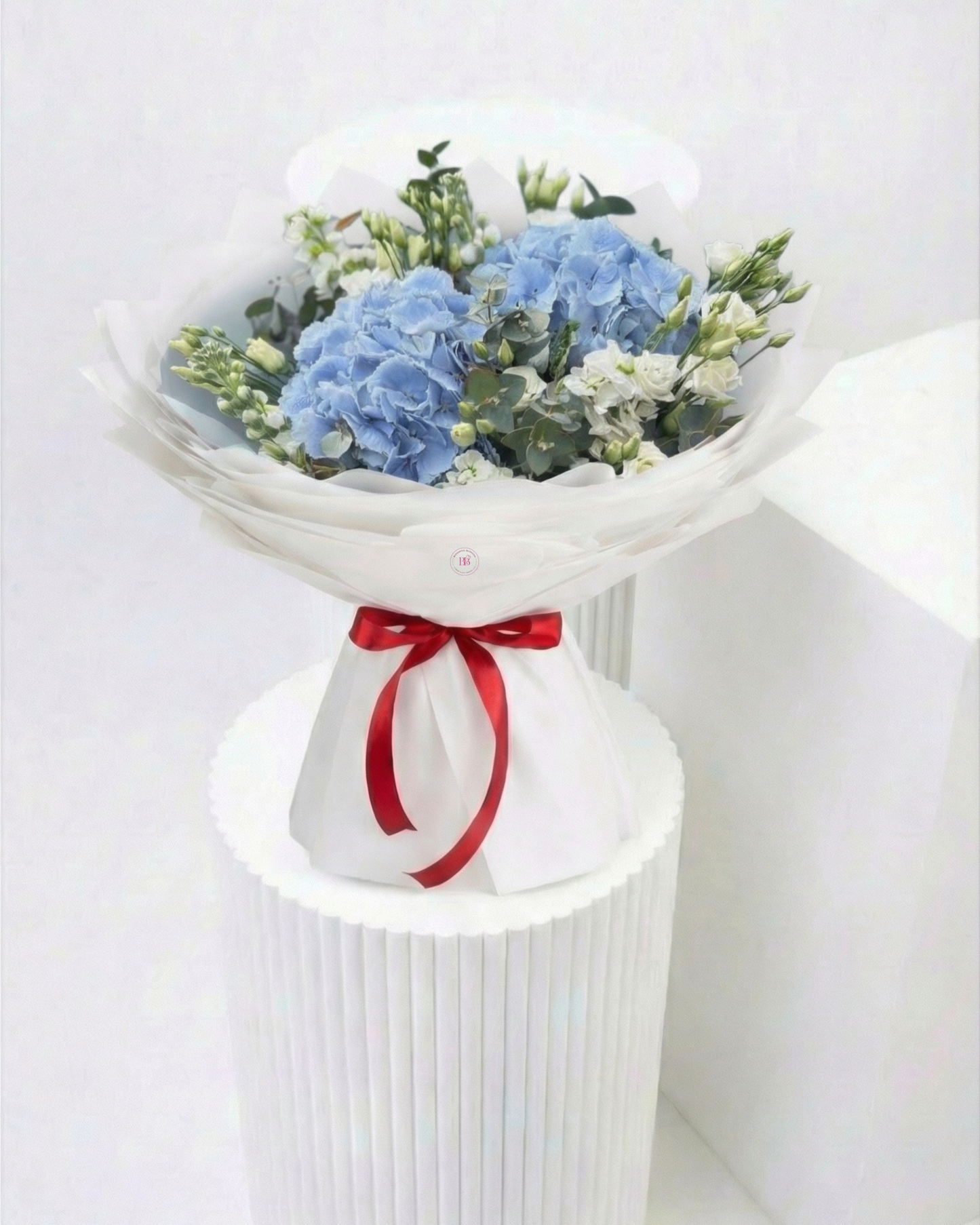 Sky Shine - BB Flowers UAE