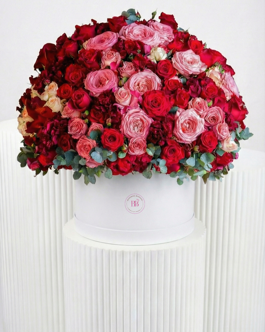Luxury Rose Collection - BB Flowers UAE