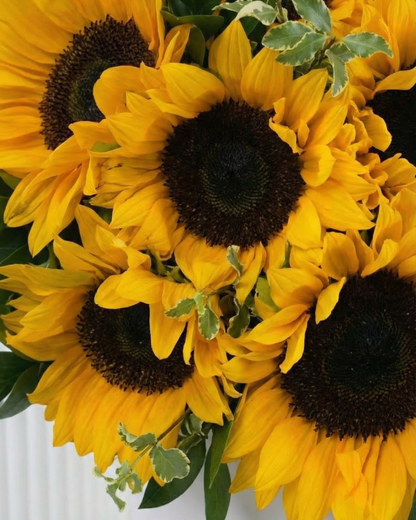 Sun Crown - BB Flowers UAE