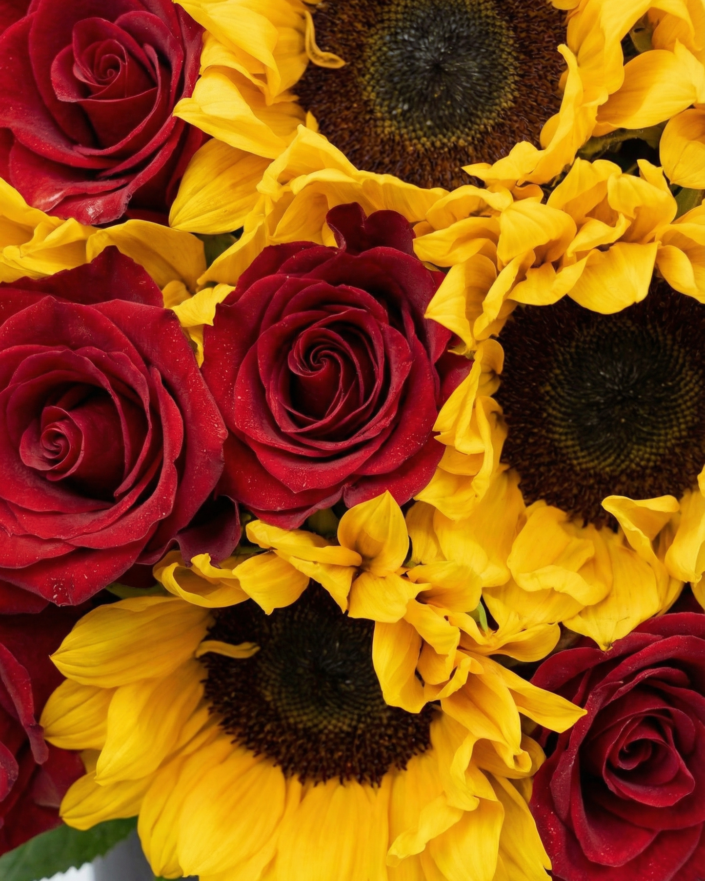 Sunshine - BB Flowers UAE