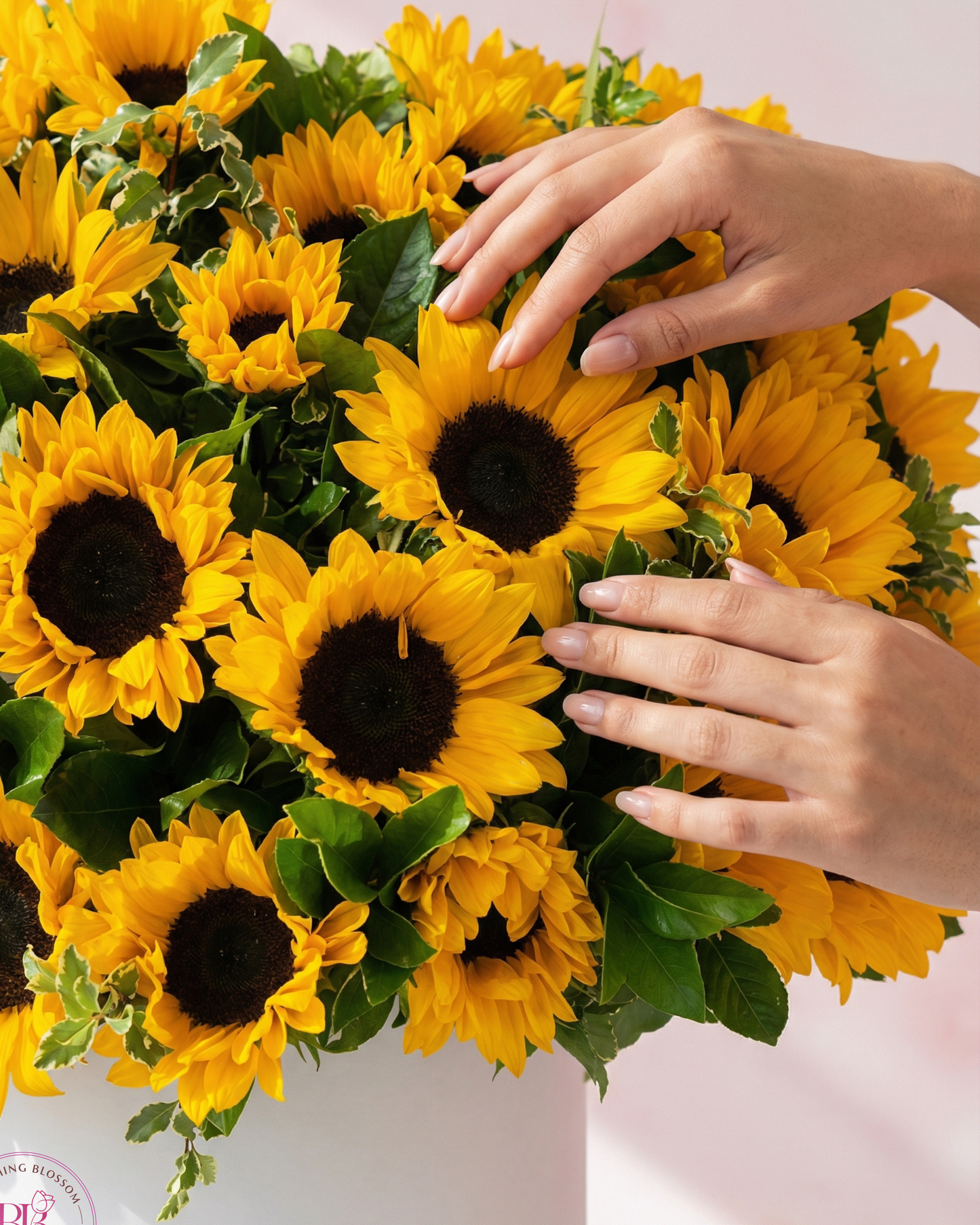 Luxe Sun - BB Flowers UAE