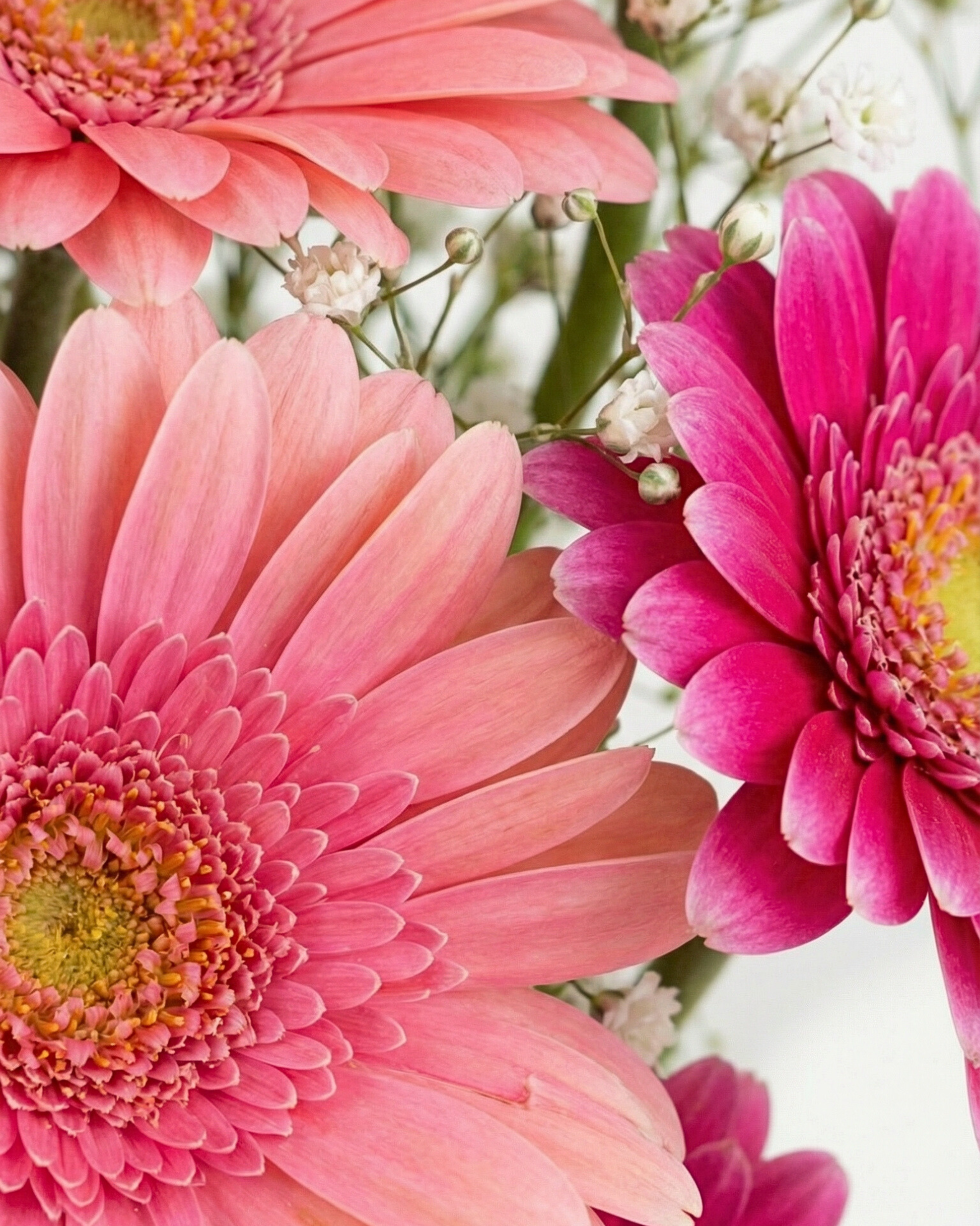 Floral Embrace - BB Flowers UAE