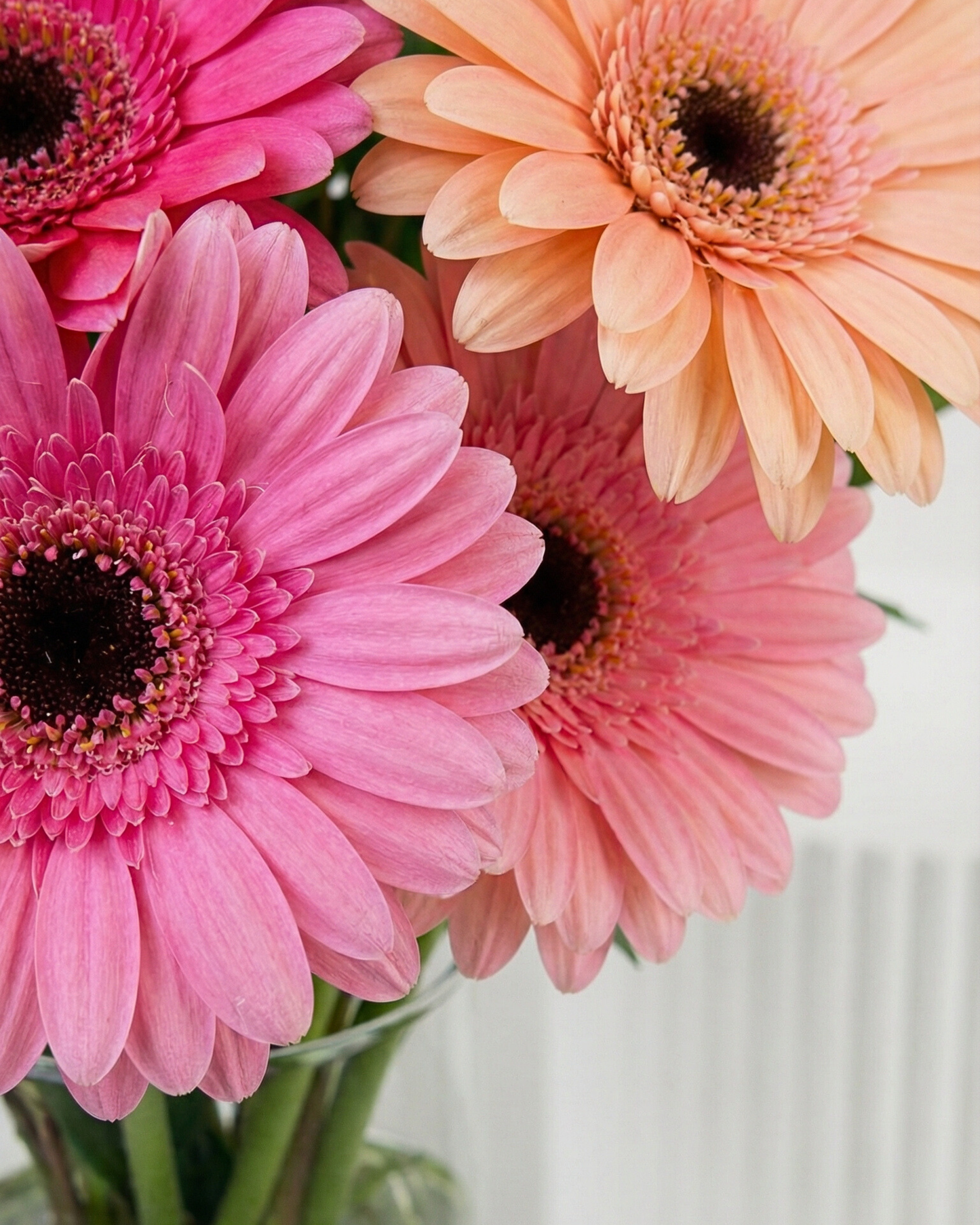 Pearl Aura - BB Flowers UAE