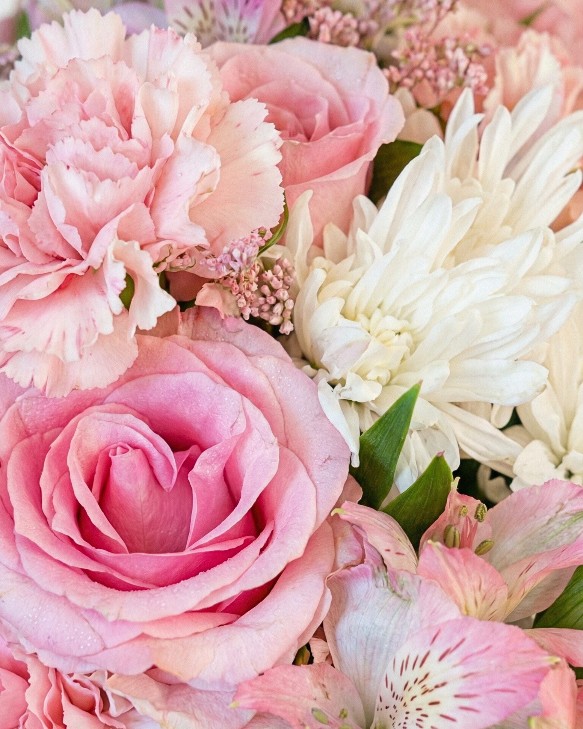 Classic Bloom - BB Flowers UAE