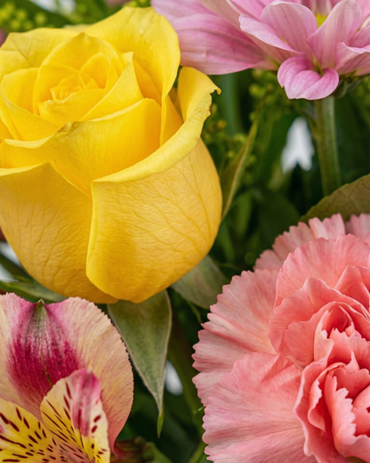 Eden Glow - BB Flowers UAE